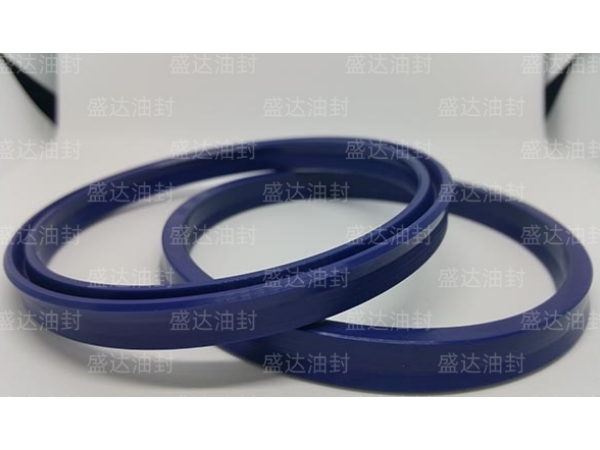 UN活塞与活塞杆密封圈